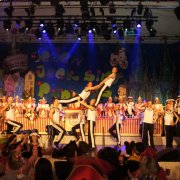 Prinzen-Garde Köln (01.02.12)